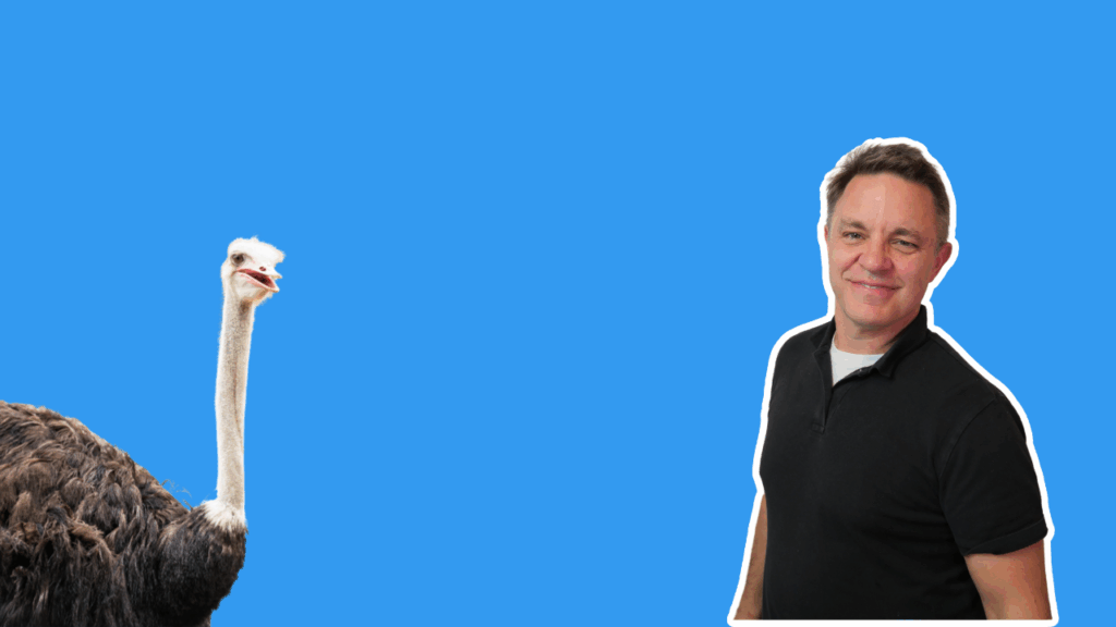 Find your ideal website design agency